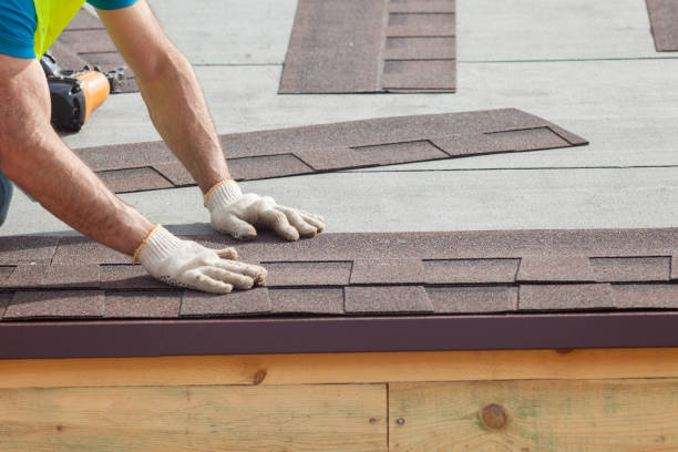 Best Sheet Metal Roofing  in North St Paul, MN